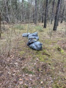 Foto: Illegal entsorgte Abfallsäcke  